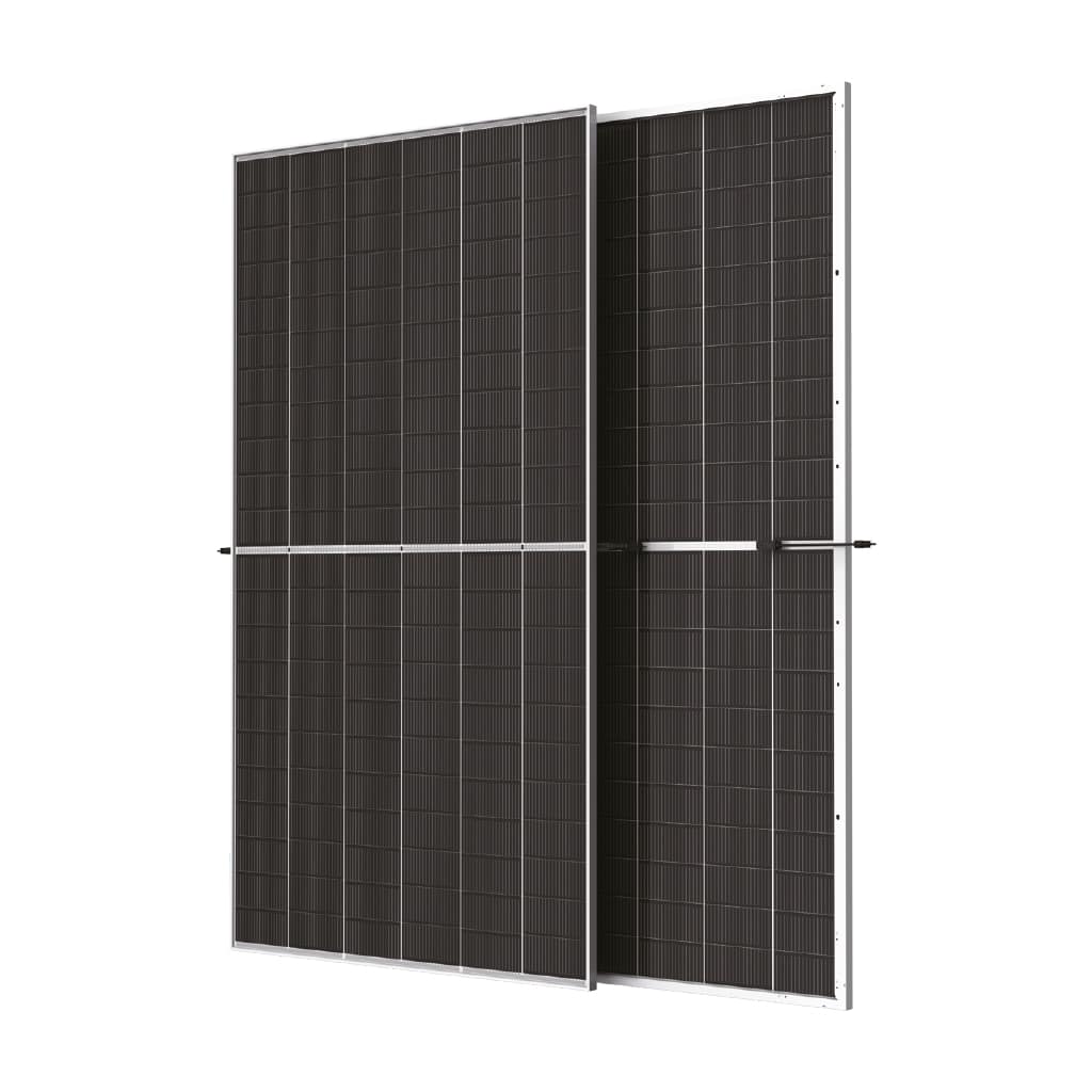 Trina Solar Vertex N NEG21C.20 695W