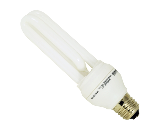 Electronic lamp thread E27 24V 10W - TECHNO SUN