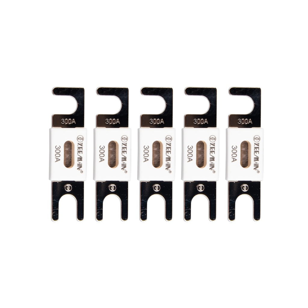 [CIP143300020] ANL-fuse 300A/80V (package of 5 pcs) - VICTRON ENERGY