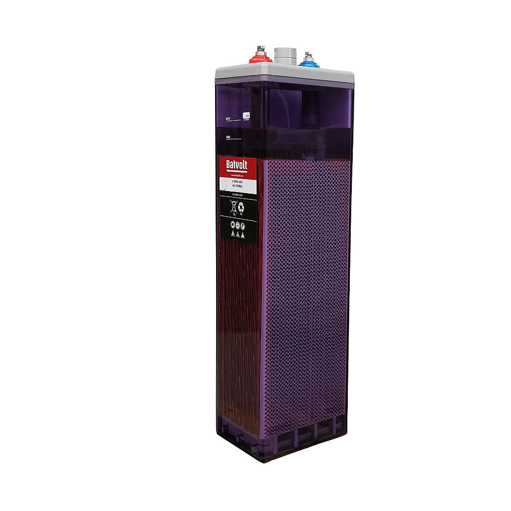 Batería Solar de ciclo profundo 6V 550Ah C100 - 600 Ah C120